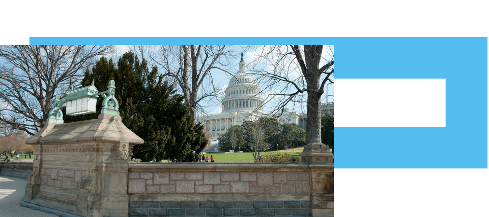 Representing our Members in the Nation's Capital